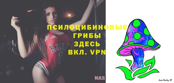 крисы Баксан