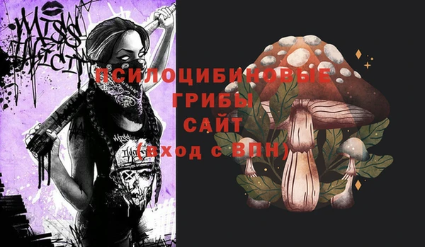 2c-b Балабаново