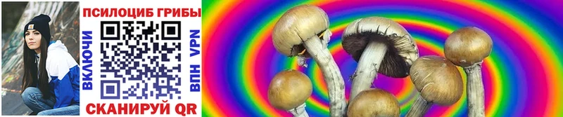 Галлюциногенные грибы Cubensis  Рудня 